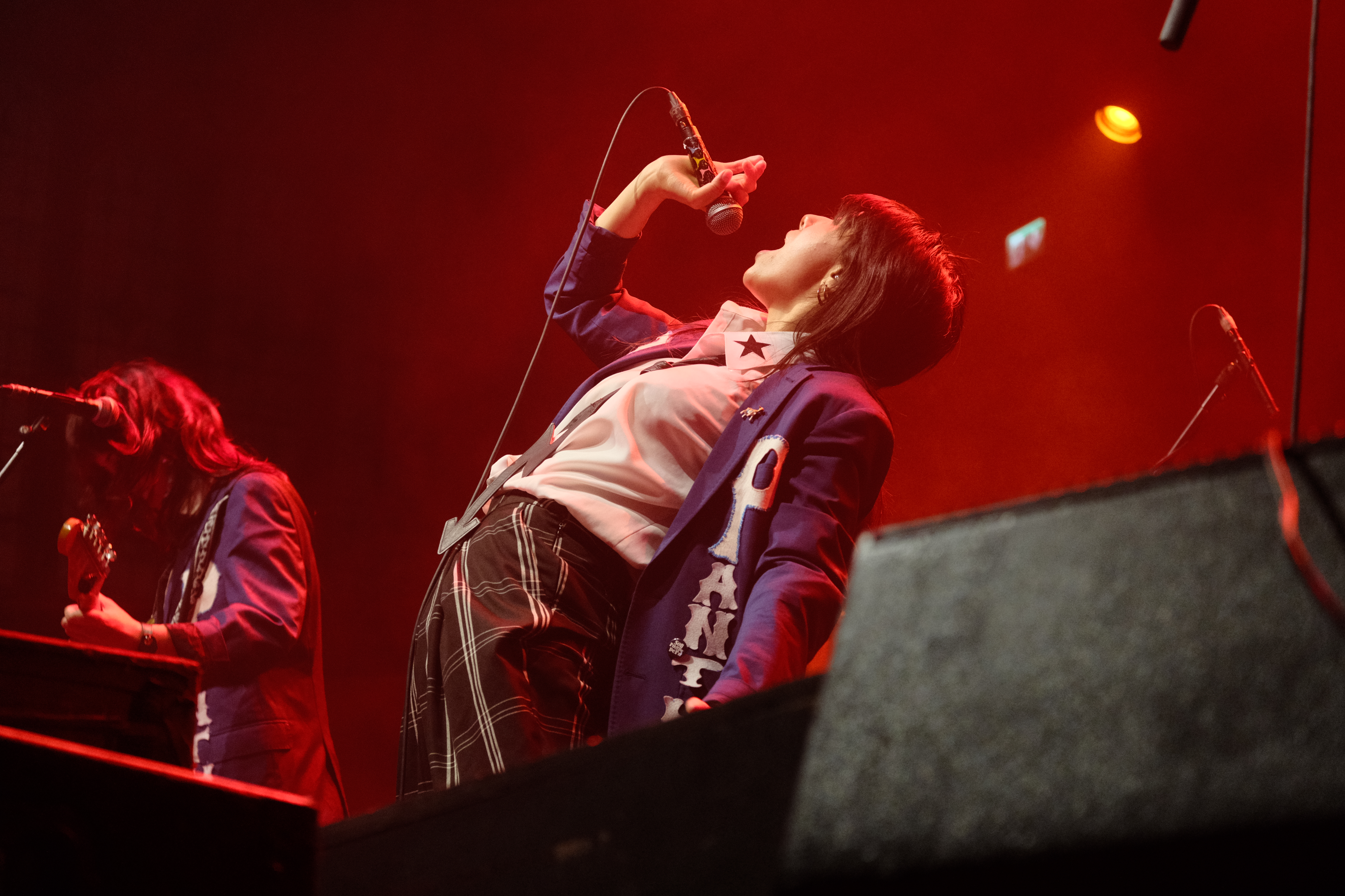 Puzzled Panther - Albert Hall